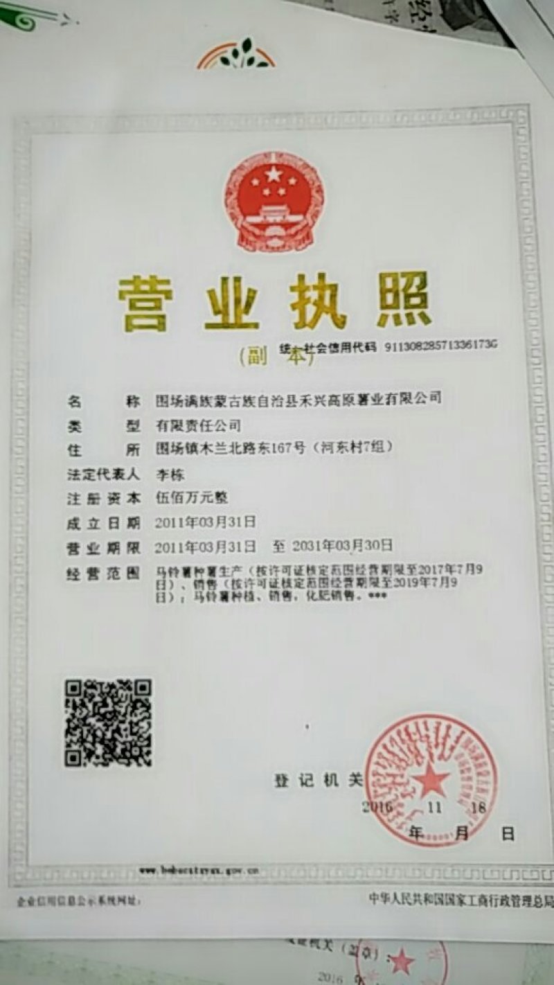 山东省安丘市荷兰十五土豆种子超何十五原种