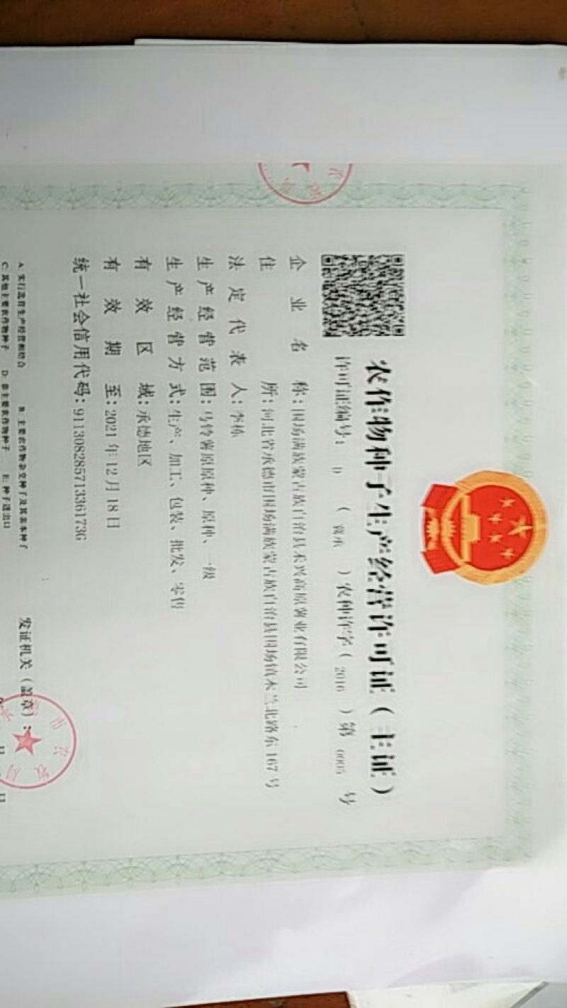 山东省安丘市荷兰十五土豆种子超何十五原种
