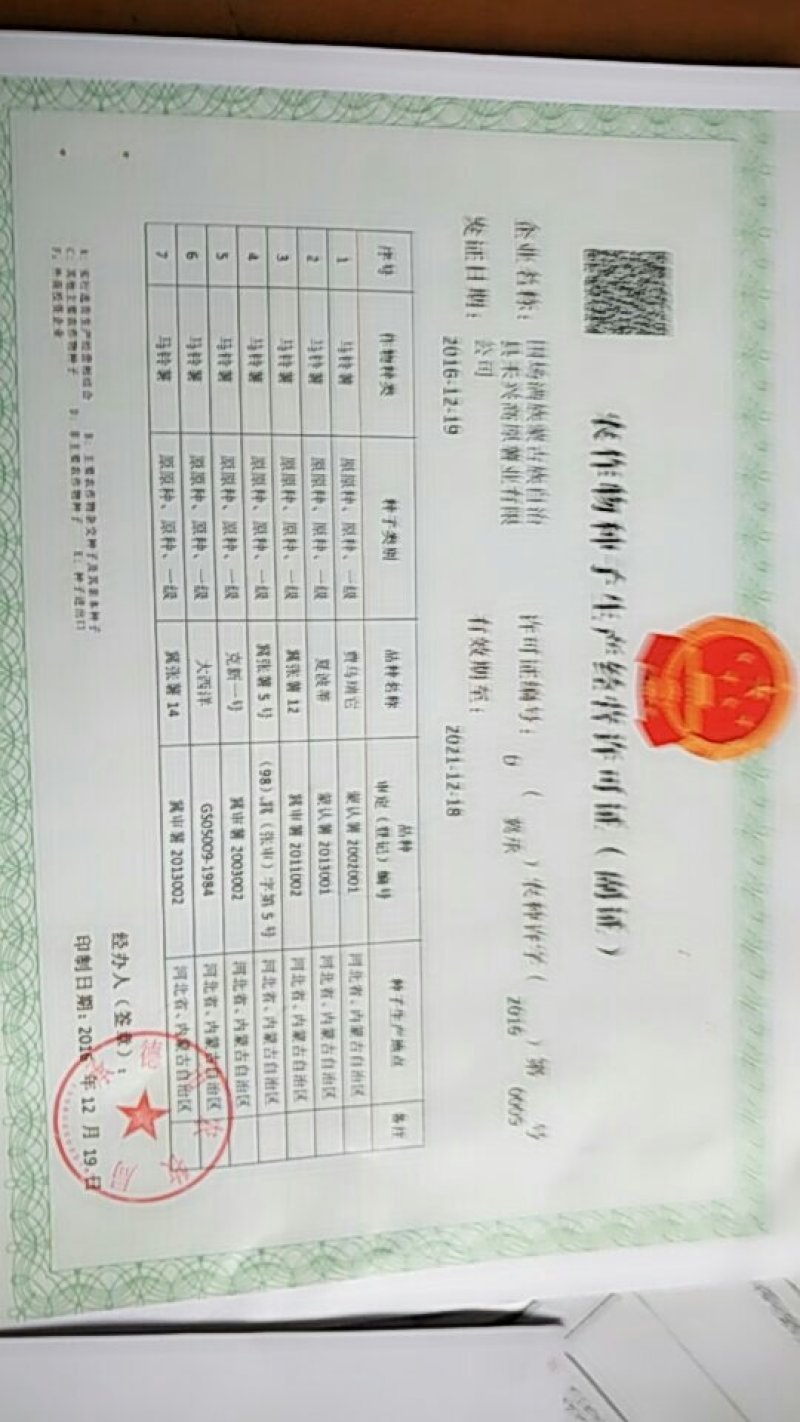 山东省安丘市荷兰十五土豆种子超何十五原种