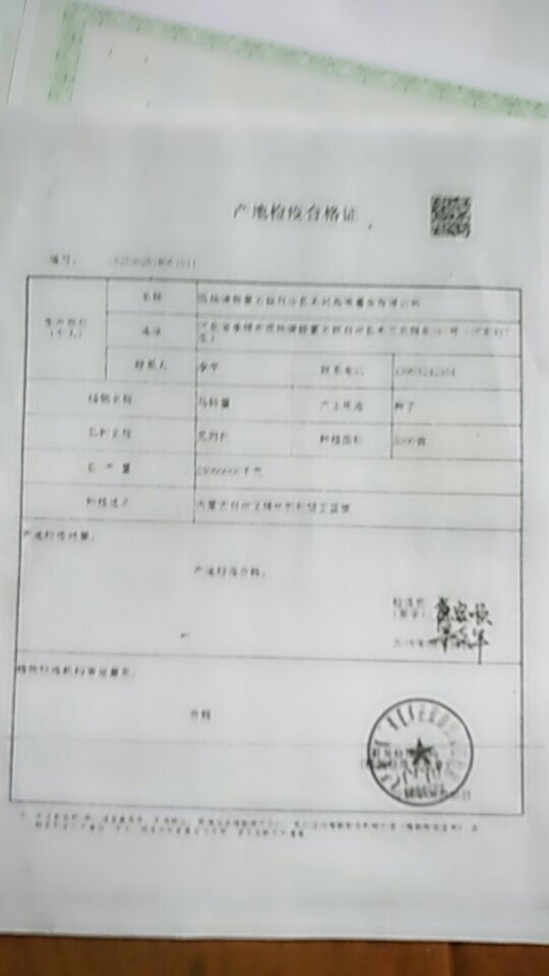 山东省安丘市荷兰十五土豆种子超何十五原种