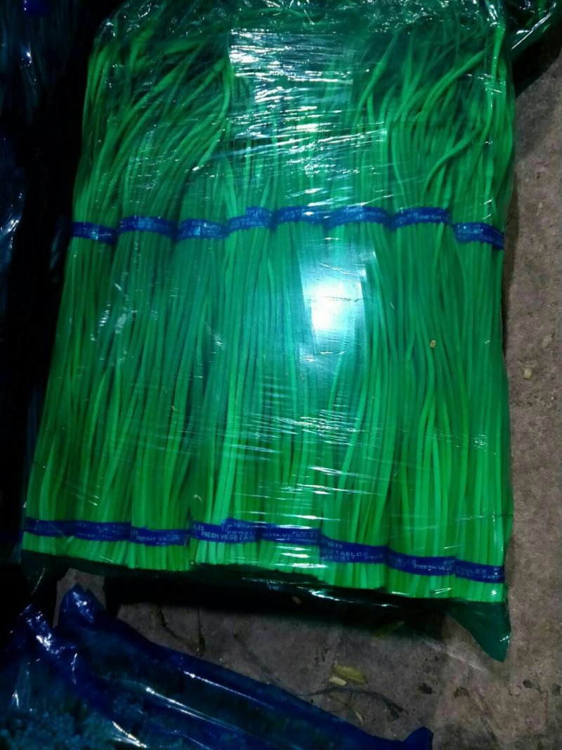 金乡优质红帽蒜薹大量上市！量大从优货发全国欢迎选购！