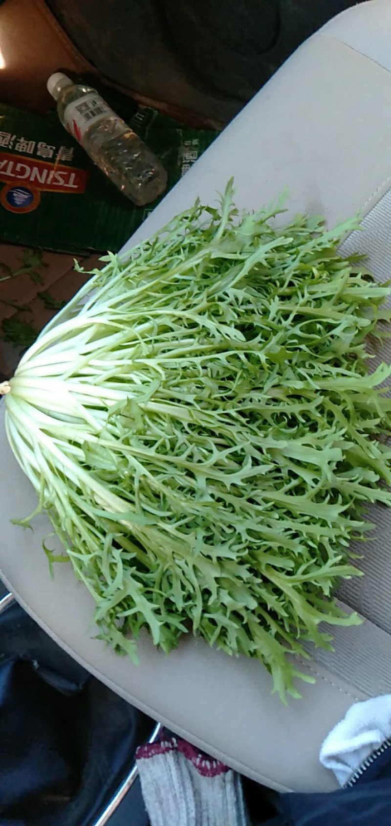 过年了我们的服务还在继续欢迎下单