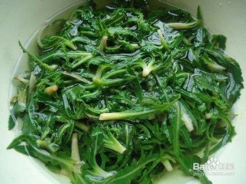 腌制的苦苦菜