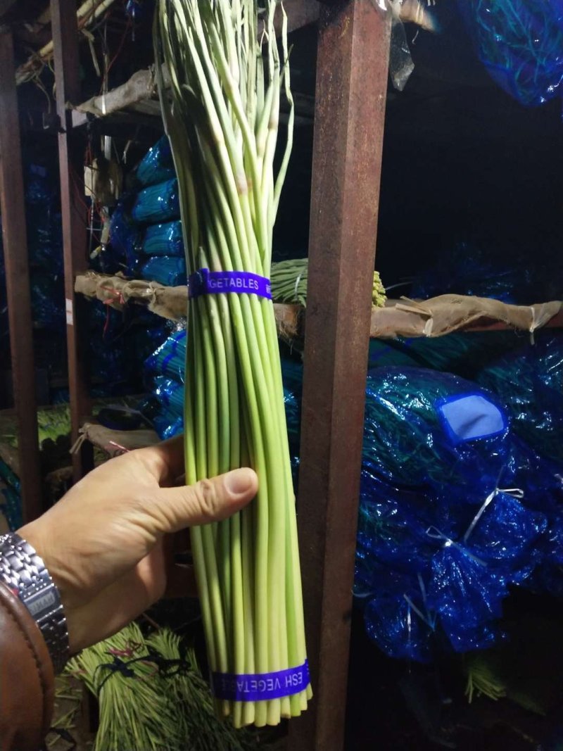 白帽蒜薹精品