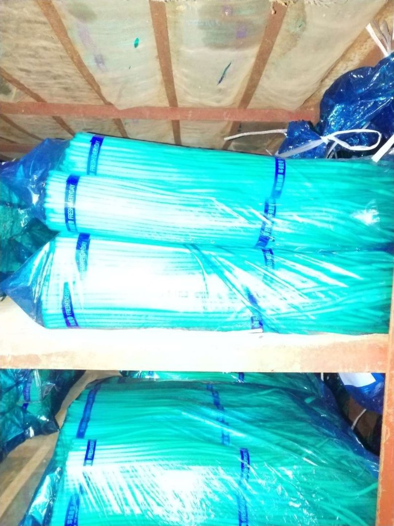 白帽蒜薹精品