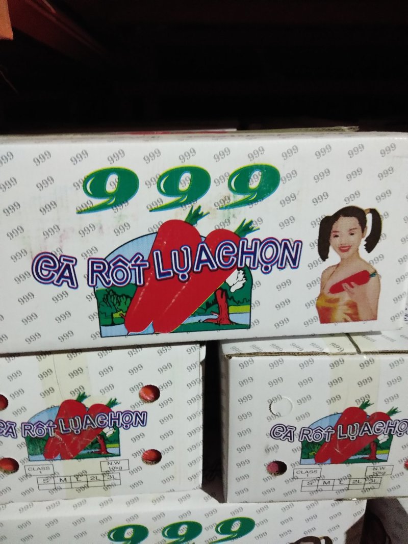 精品红萝卜