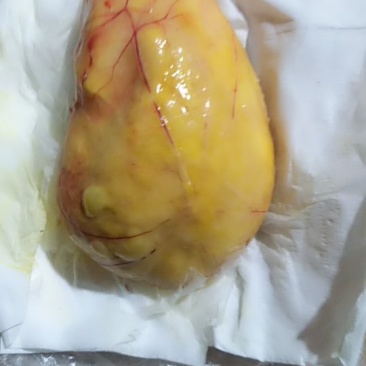 土鸡生鸡宝，重200克