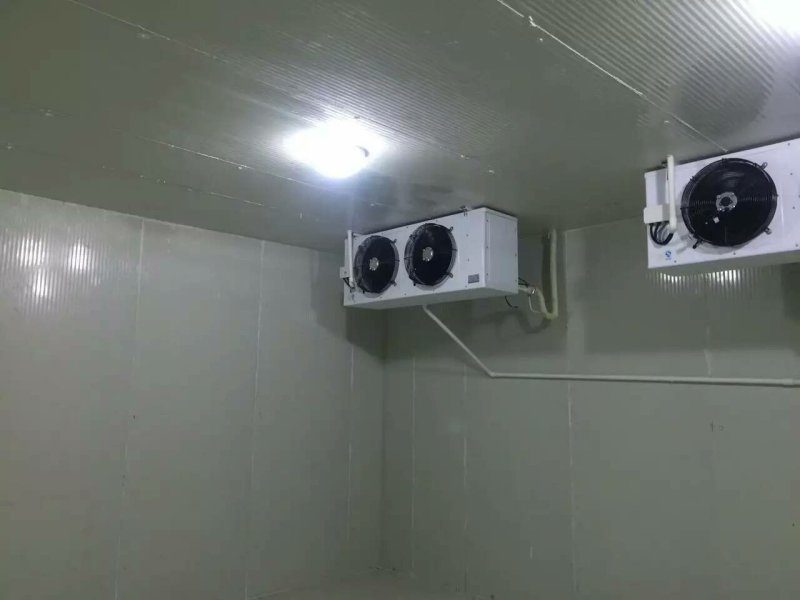 专业生产供应水果蔬菜、中药材等农产品冷库设计安装