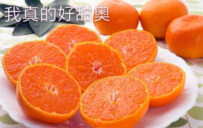 无核袄柑苗甜度高，水分足，包品种免费后期指导