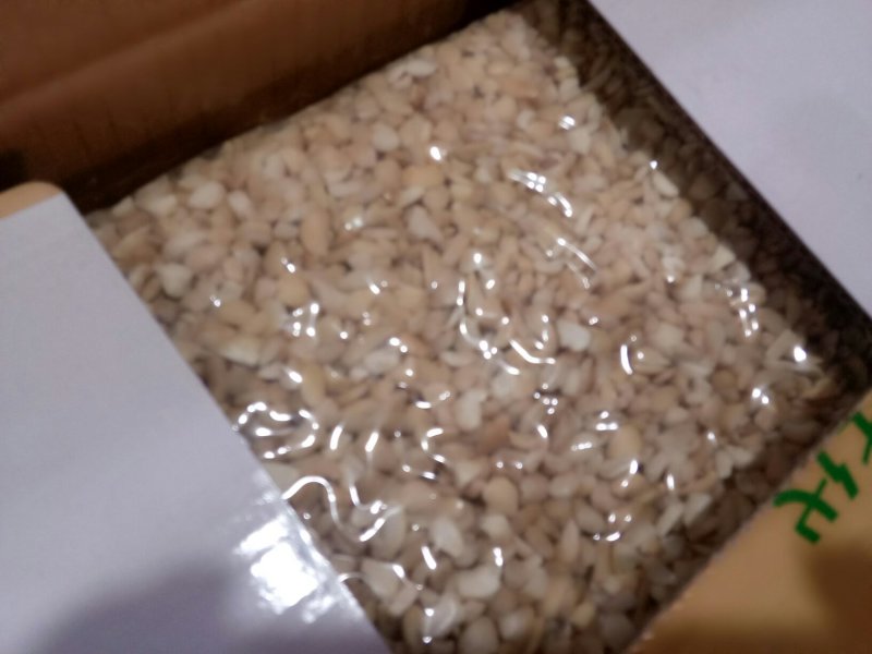 美味袋装碎腰果果仁