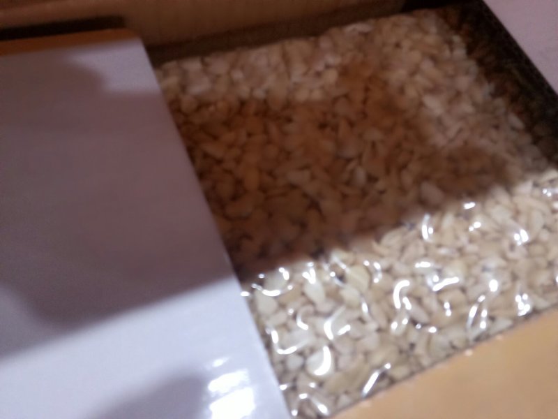 美味袋装碎腰果果仁