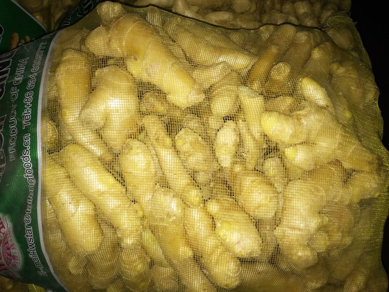 优质姜种崔芽中