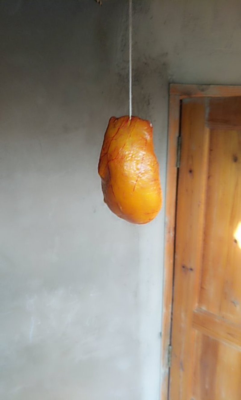 土鸡鸡宝，