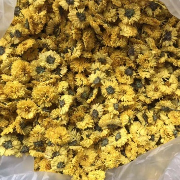 婺源黄菊