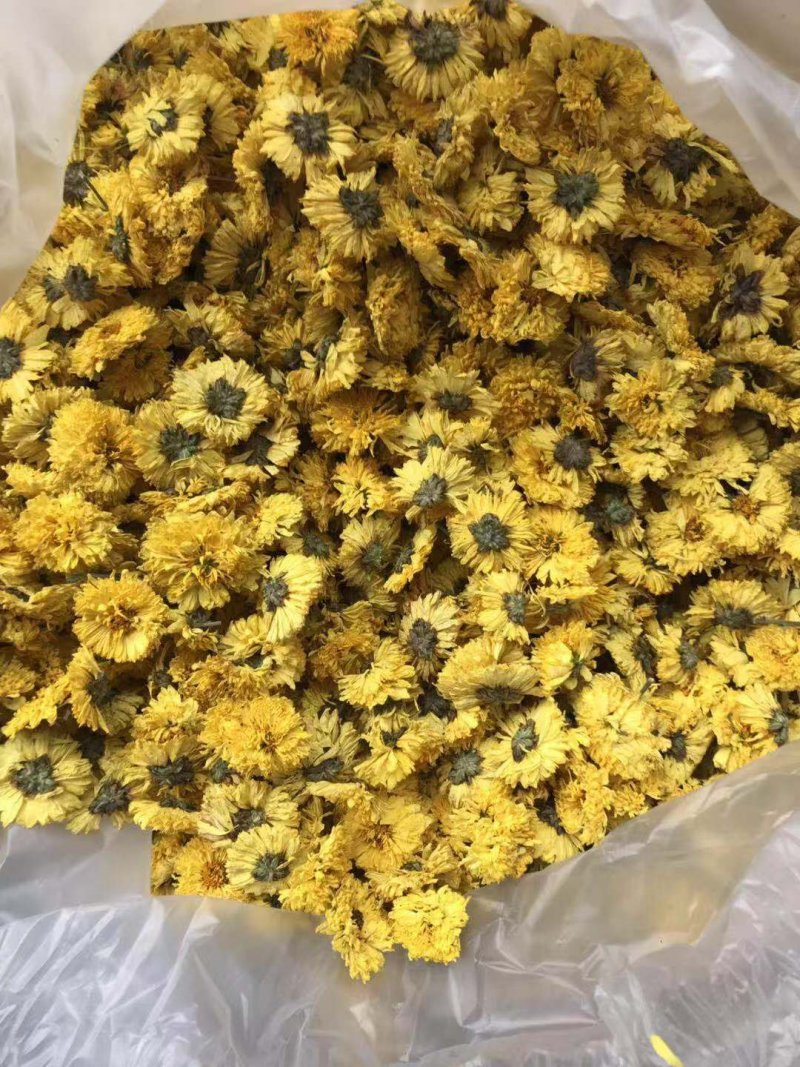 婺源黄菊