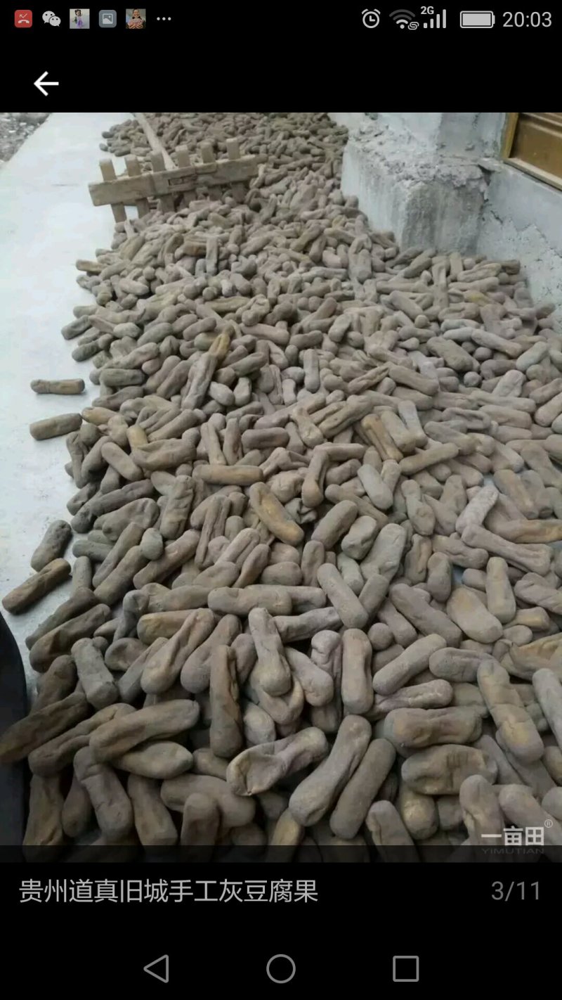 灰豆腐果