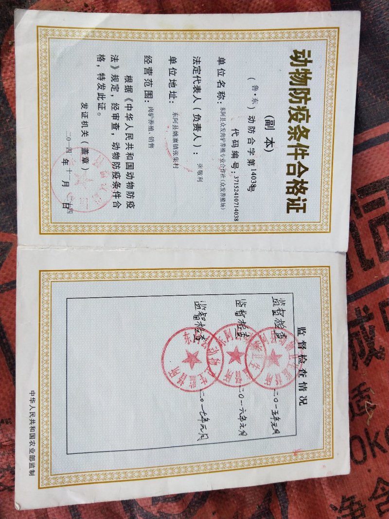 冷冻鲜驴肉