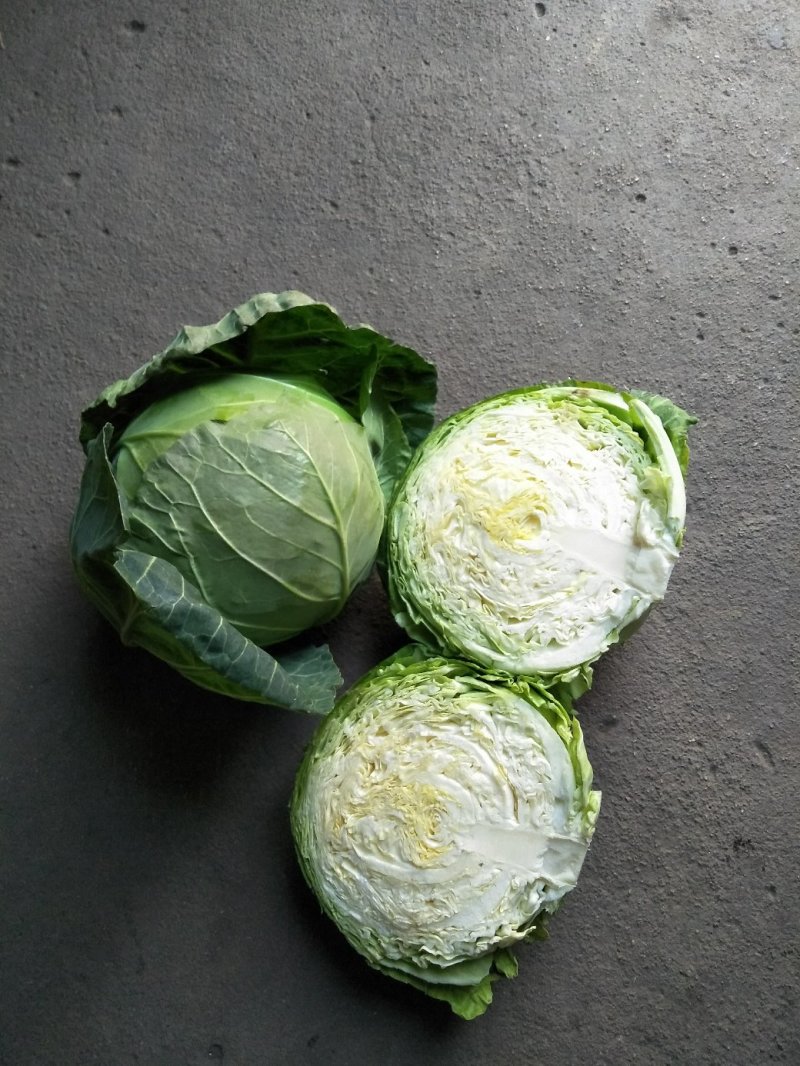 甘蓝圆包菜