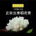 我家在五常，家里有点粮。一点不掺假，纯正稻花香。自古