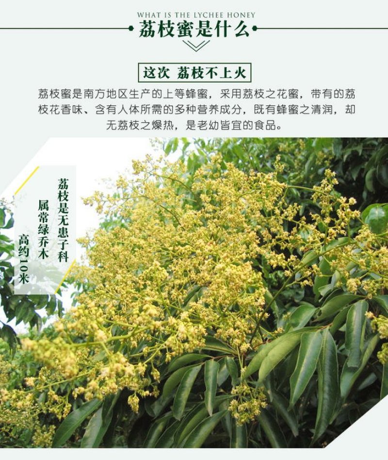 广西灵山百年荔枝蜜土蜂蜜纯天然无公害