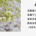 广西灵山百年龙眼蜜土蜂蜜纯天然无公害