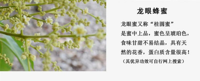 广西灵山百年龙眼蜜土蜂蜜纯天然无公害