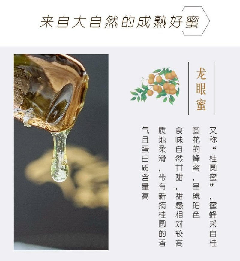 广西灵山百年龙眼蜜土蜂蜜纯天然无公害
