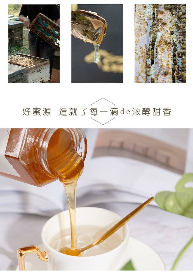 广西灵山百年龙眼蜜土蜂蜜纯天然无公害