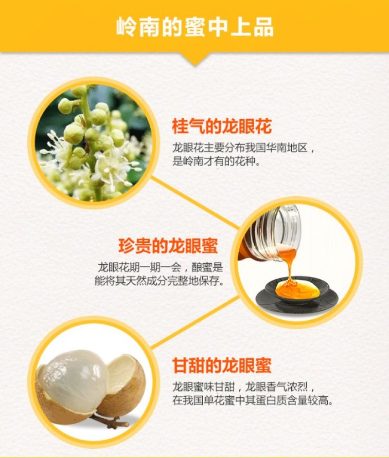 广西灵山百年龙眼蜜土蜂蜜纯天然无公害