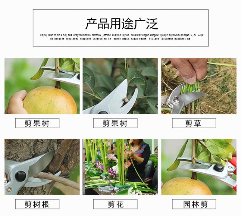 果枝剪〈包邮〉剪枝果树修枝剪刀园艺园林修花枝剪家用强力剪