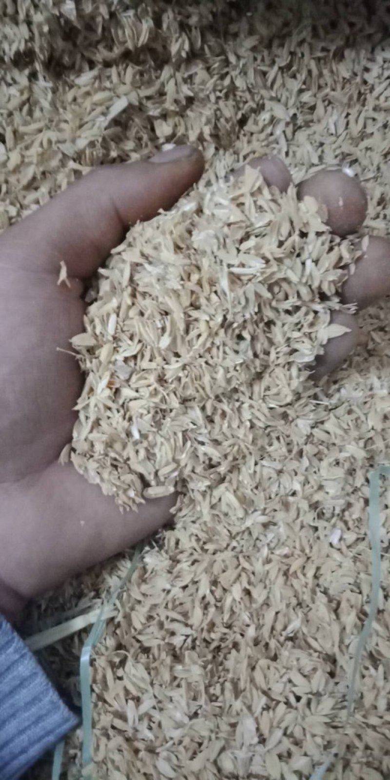压缩稻壳除尘稻壳散装稻壳鸡鸭鹅垫料