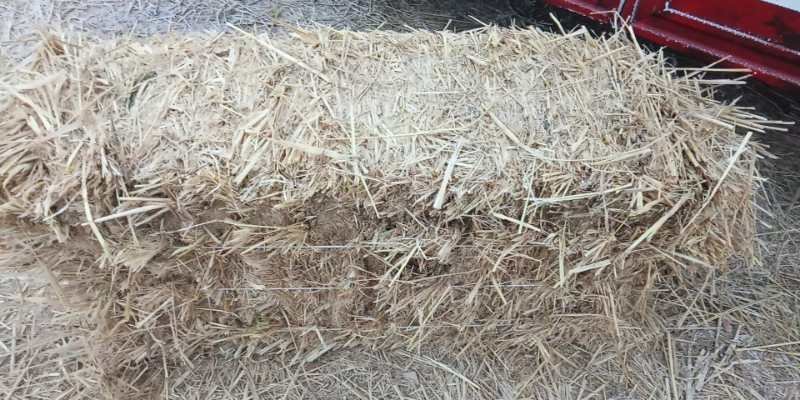 稻草柔丝稻草牛羊饲料大小包稻草粉碎稻草