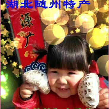 供应自产香菇