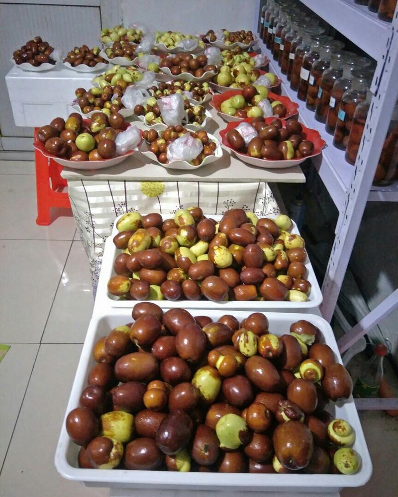 我公司常年出售各品种枣树接穗，需要的朋友联系