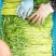 芦蒿新鲜蔬菜农家泥蒿去叶藜蒿净菜野菜鲜嫩去根蓠蒿