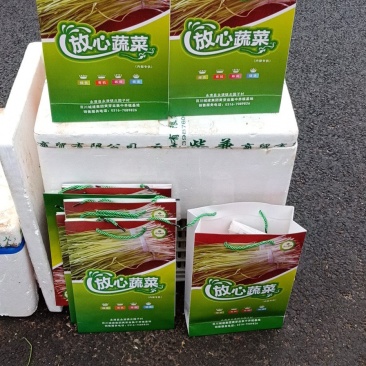 黄芽韭菜出售