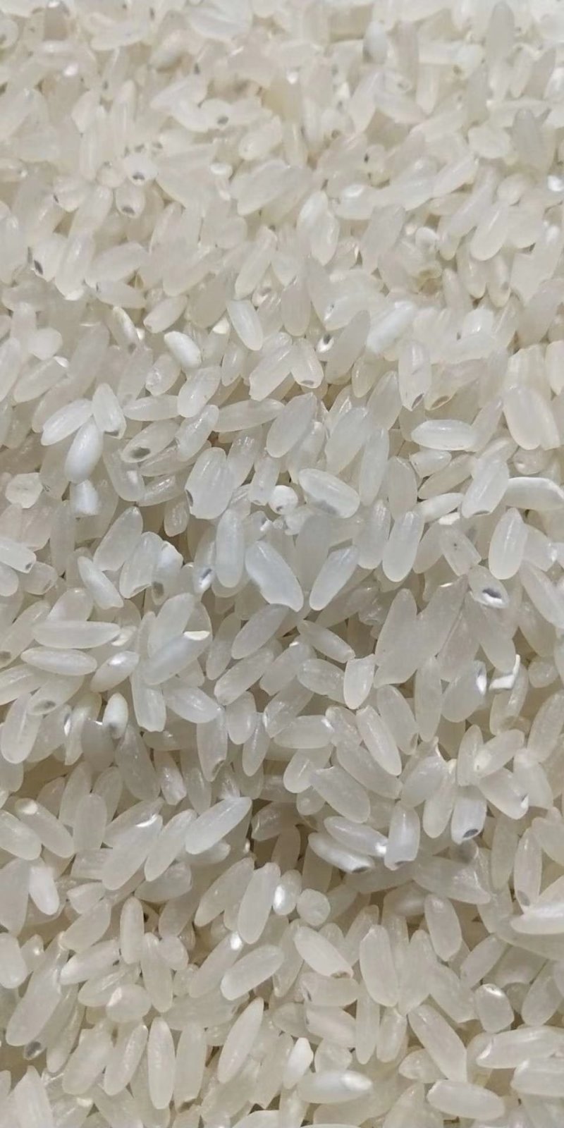 北大荒垦区自产稻花香4.5元/斤，包邮，不抛光，不打腊