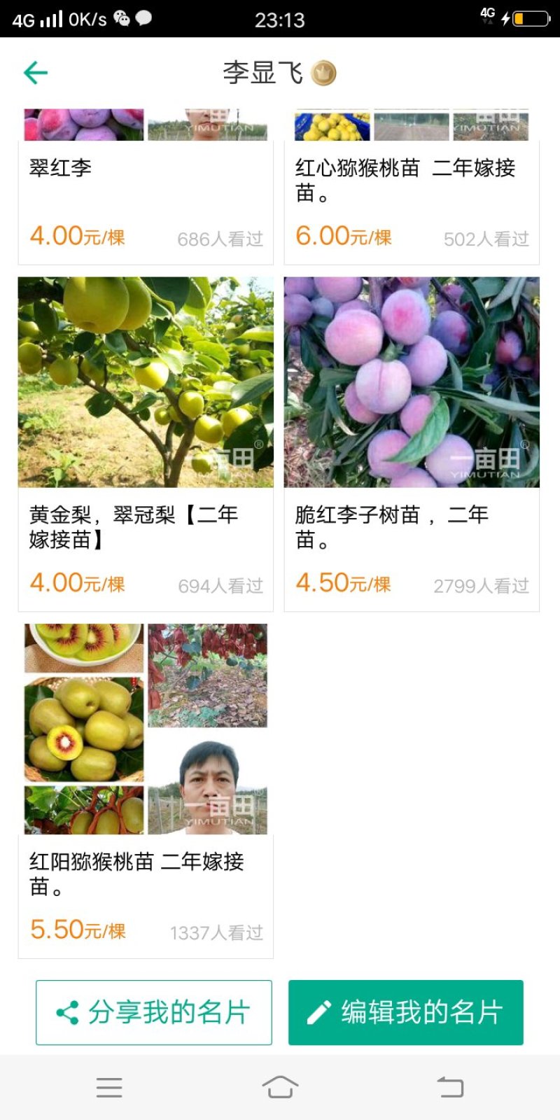 (李子苗)脆红李子树苗，一至二年苗。一手货源，基地直发