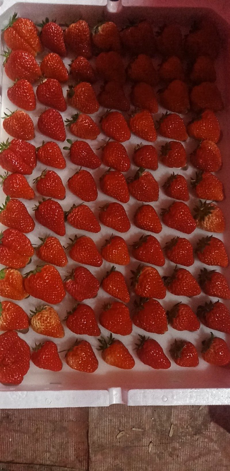 南通正宗红颜优质草莓