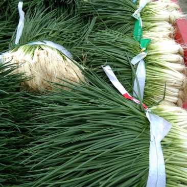 小黑米葱