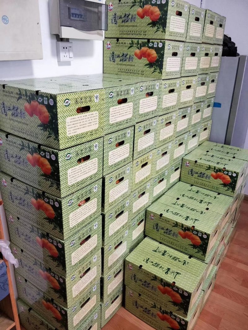 精品新鲜碰柑产地直销，诚信供应商支持发货