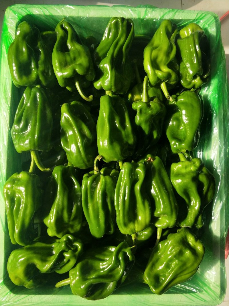 麻辣