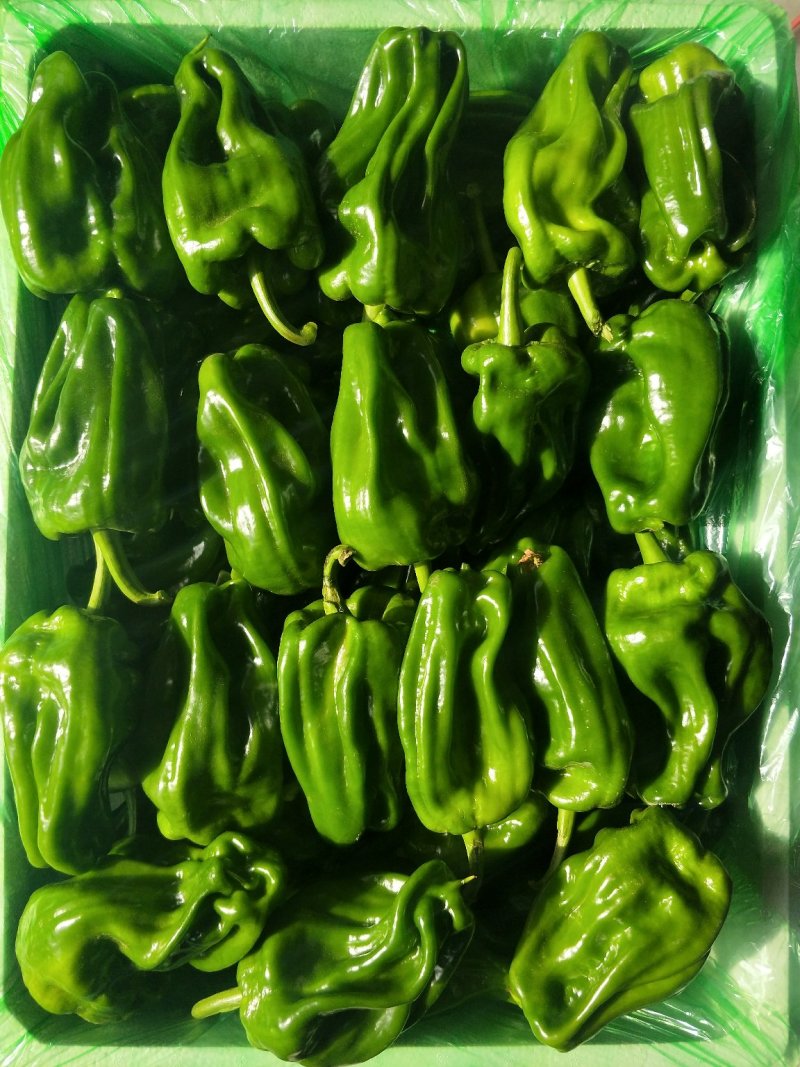 麻辣