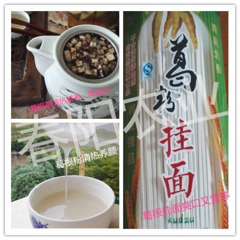 一千棵起批0.18元每棵包邮高产无渣粉葛苗黄金葛未发芽苗