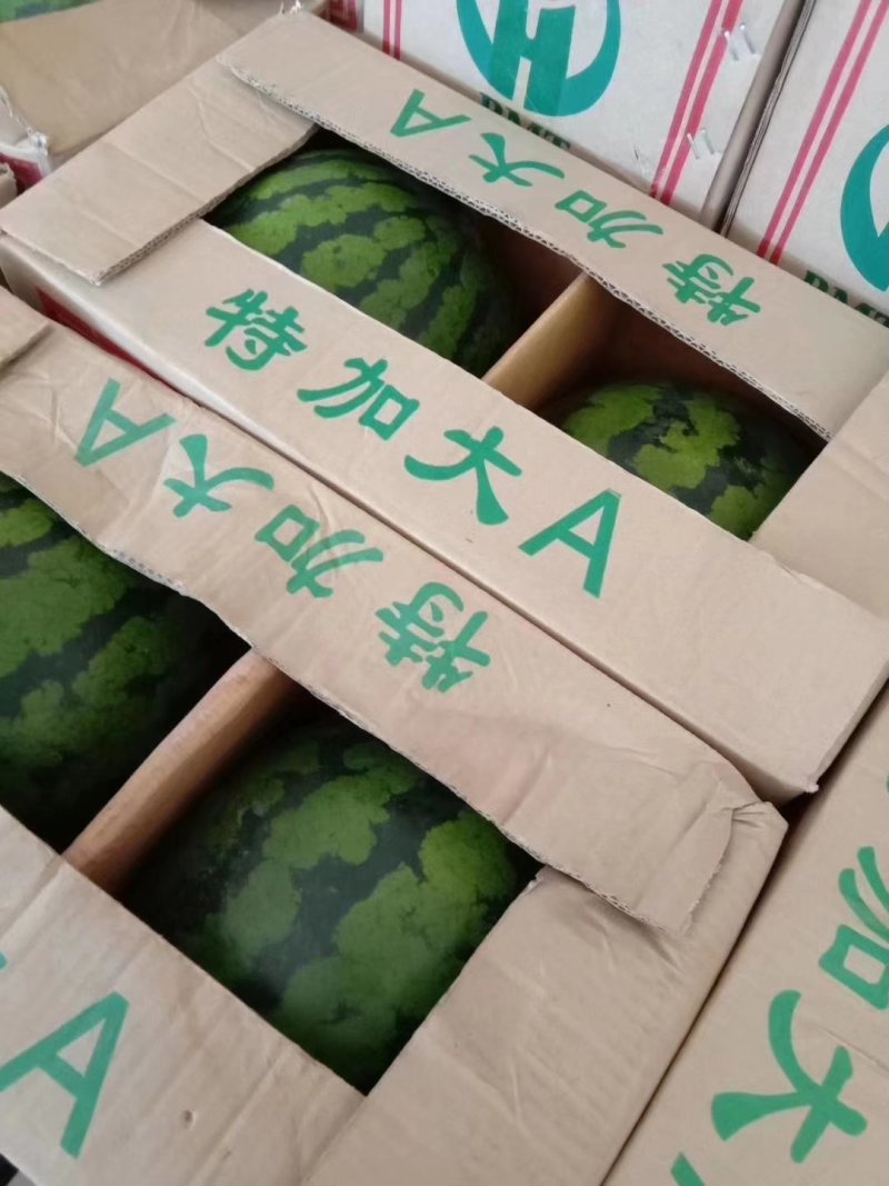 甜王西瓜