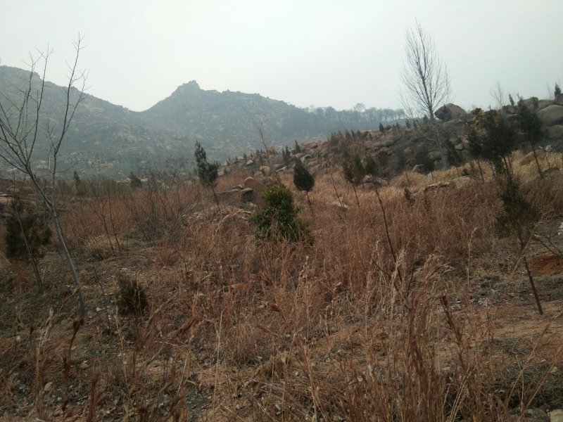 济宁市第二高山，山脚下。
