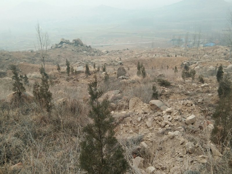 济宁市第二高山，山脚下。