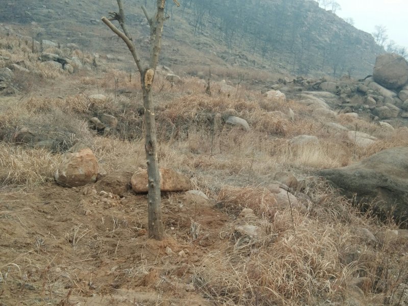 济宁市第二高山，山脚下。