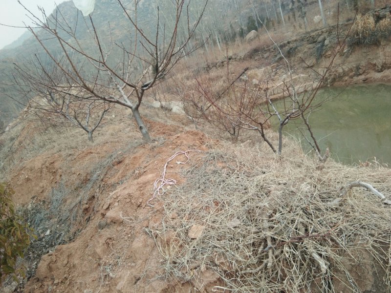 济宁市第二高山，山脚下。
