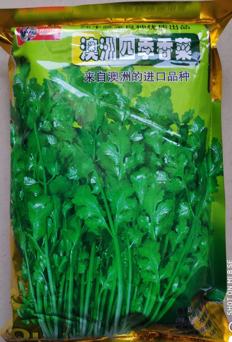 香菜种子(澳洲四季香菜)